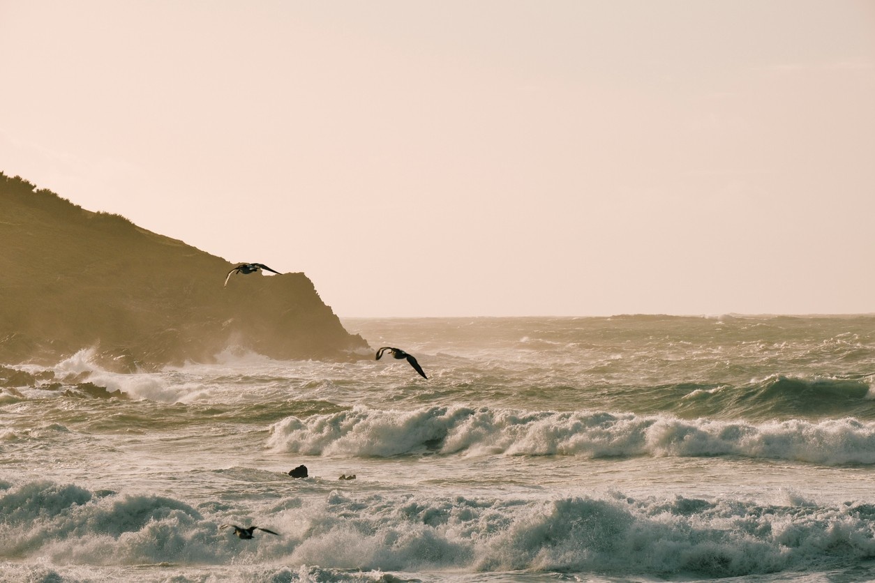 Fistral Beach