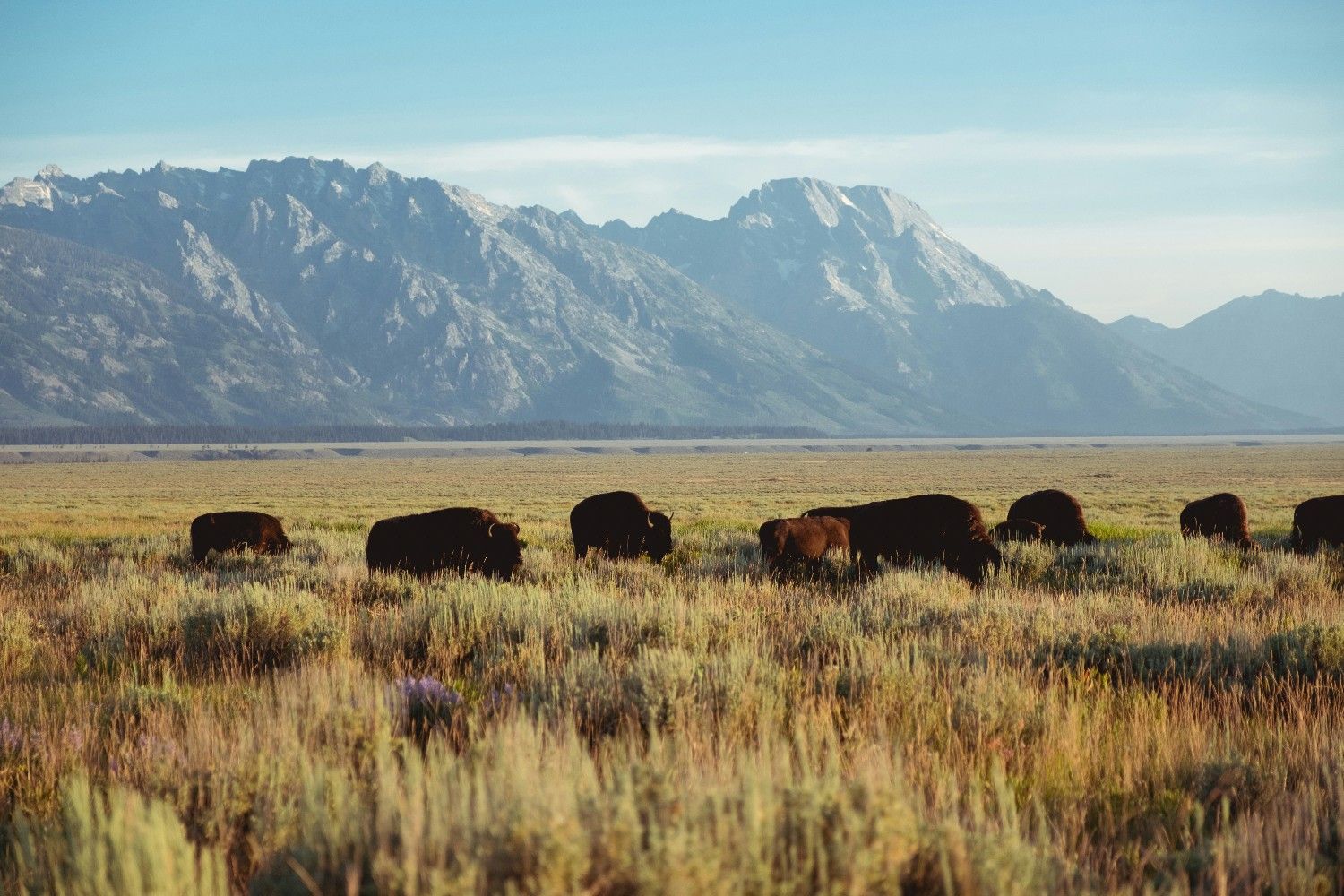 Grand Teton National Park 