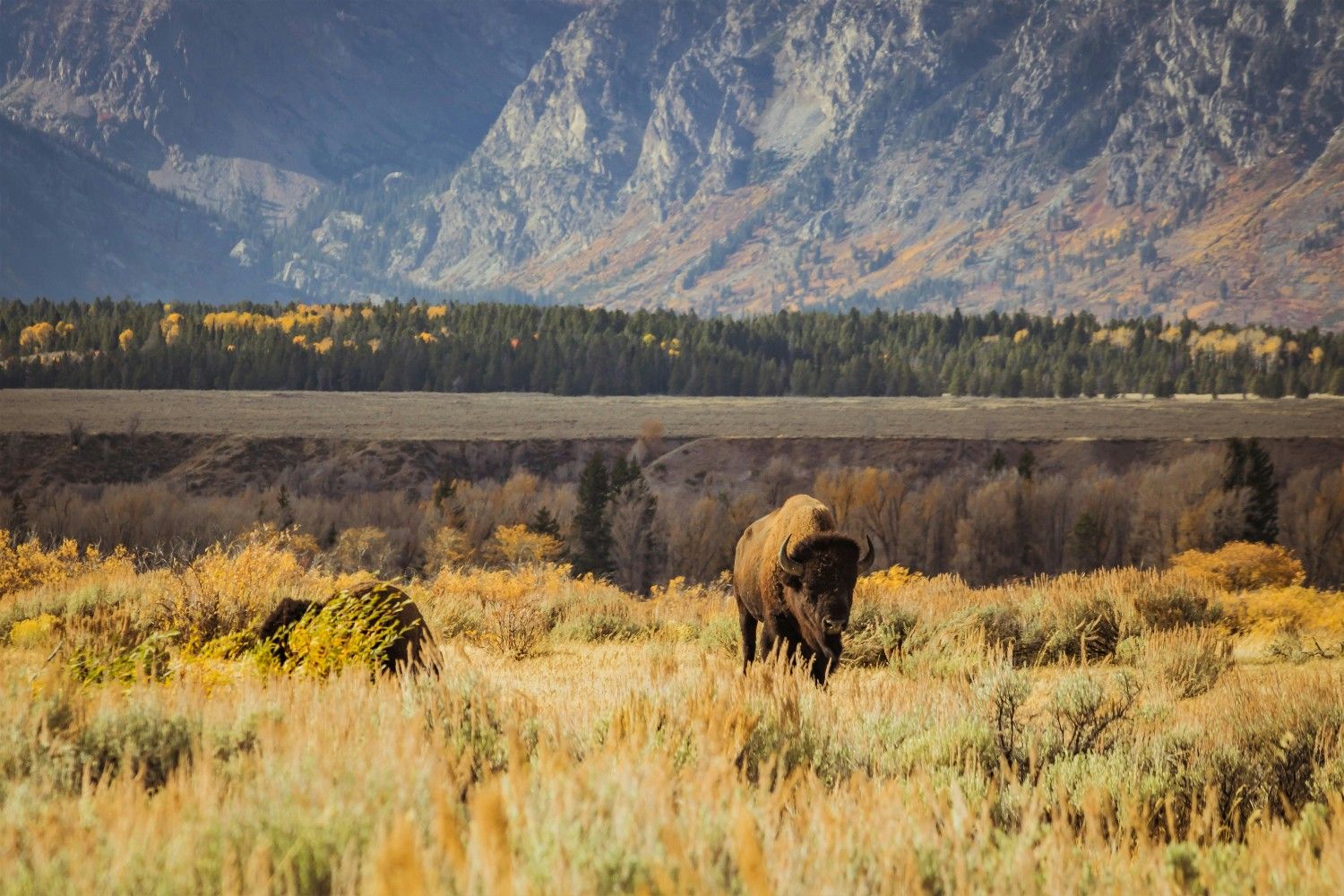 Grand Teton National Park 