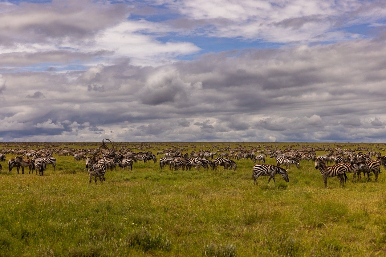 Serengeti National Park