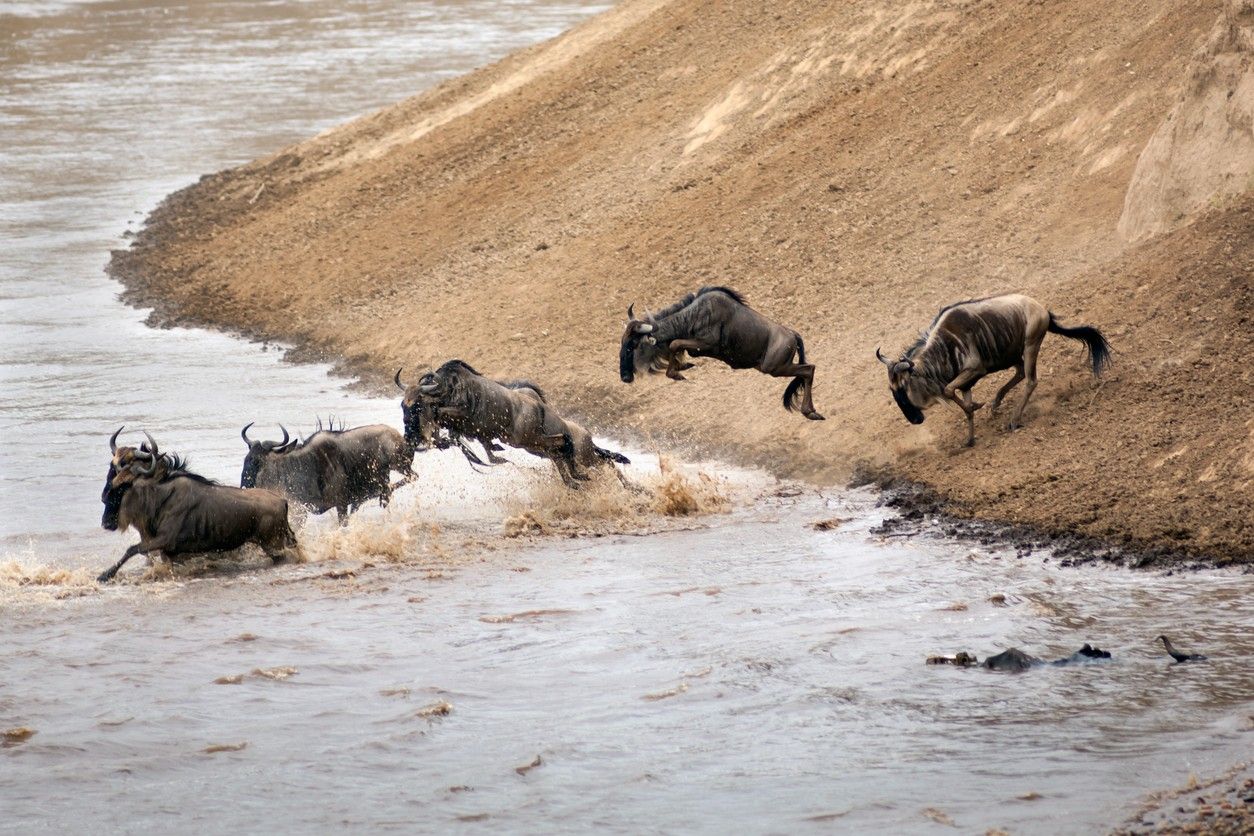 Serengeti National Park