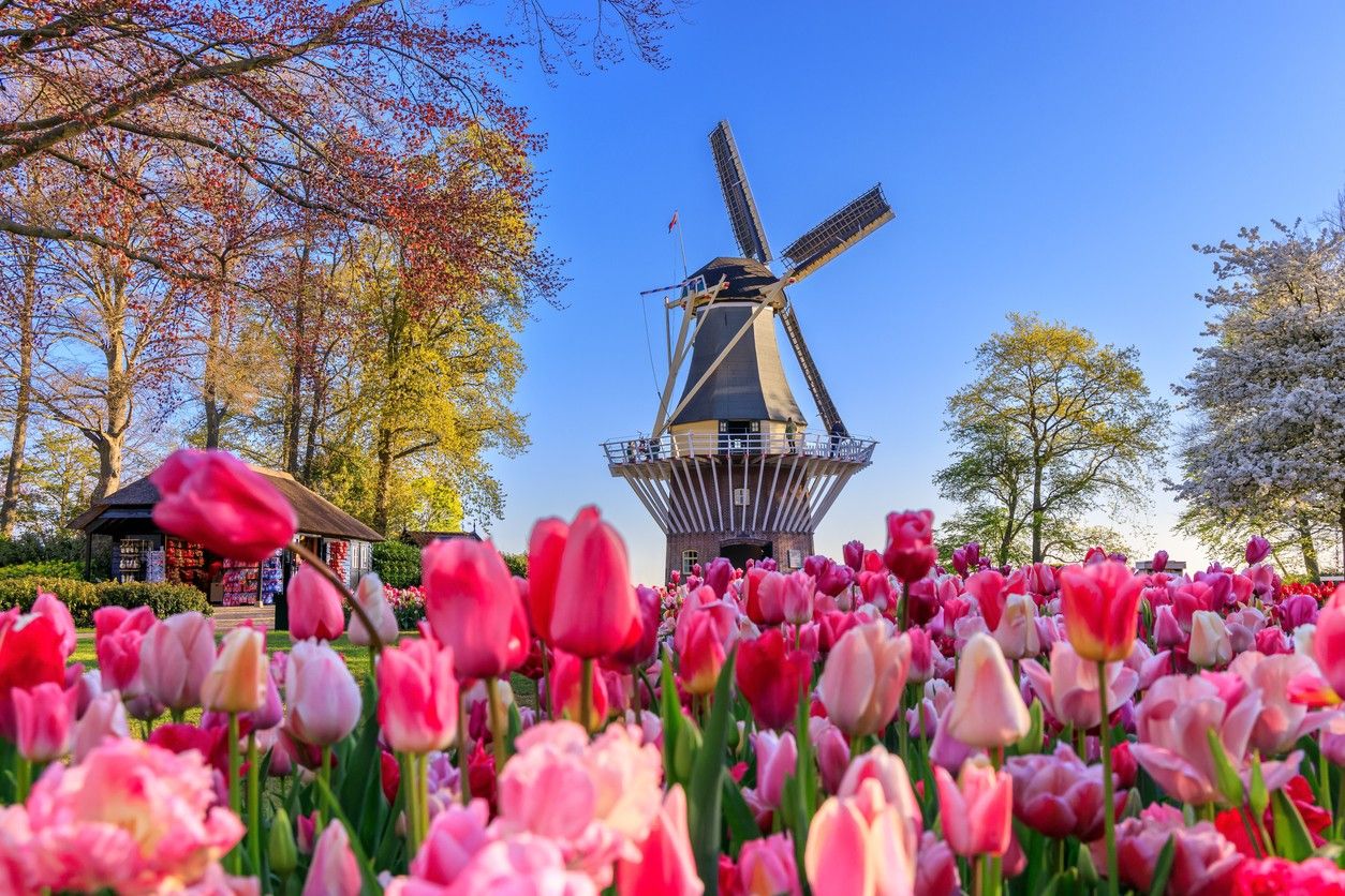 Keukenhof Gardens