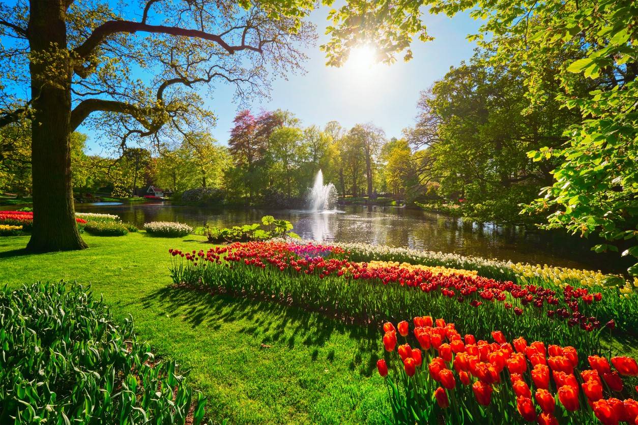 Keukenhof Gardens