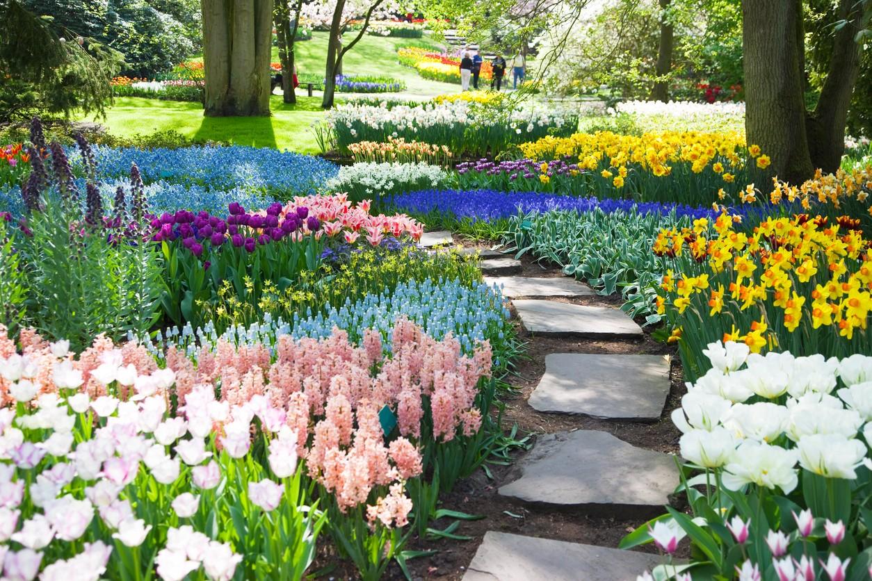 Keukenhof Gardens