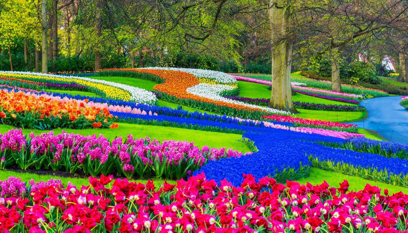 Keukenhof Gardens