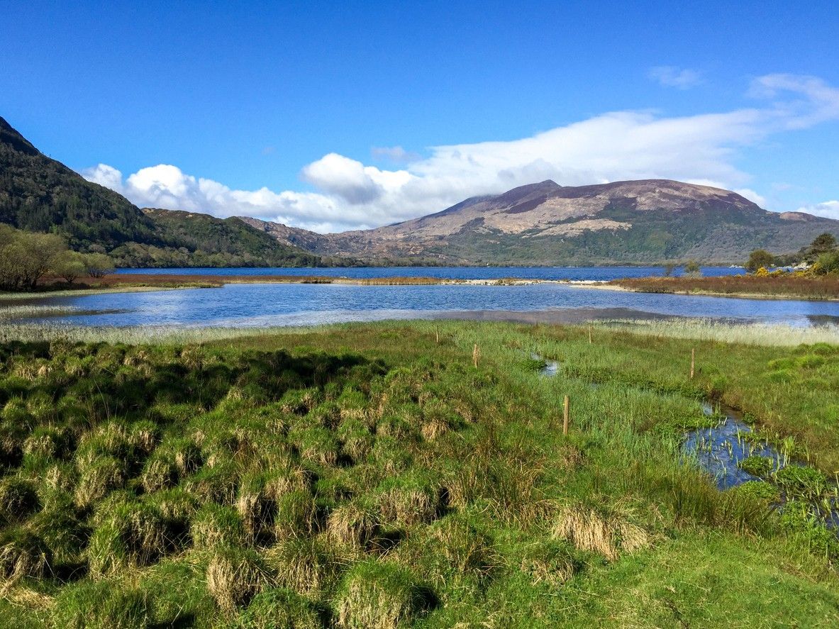 Killarney National Park 