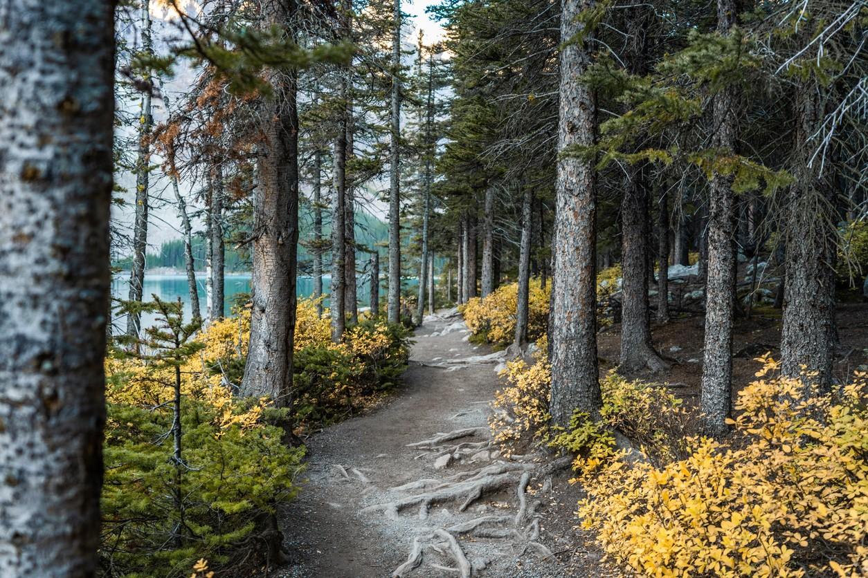 Moraine Lake