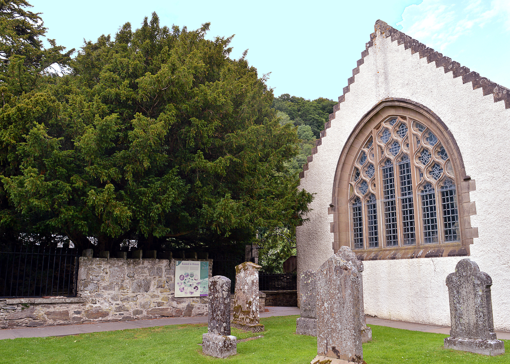 The yew tree in Fortingall churchyard is estimated to be between 3,000 and 9,000 years old. Legend has it that Pontius Pilate was born in the village and played beneath its branches.