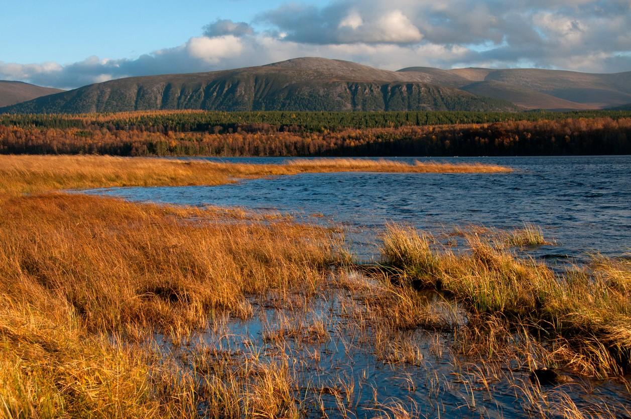 Loch insh cairngorms scotland