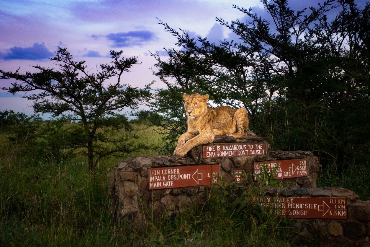 Nairobi National Park