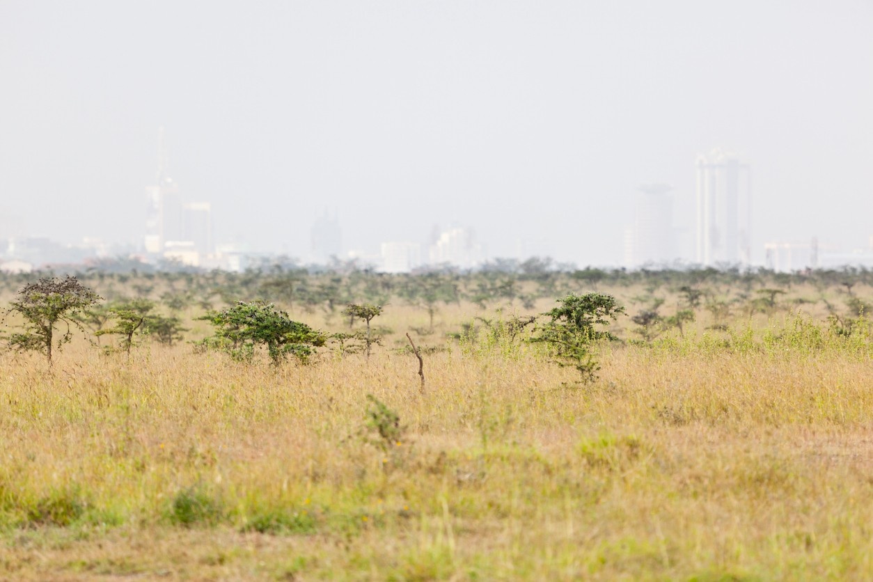 Nairobi National Park