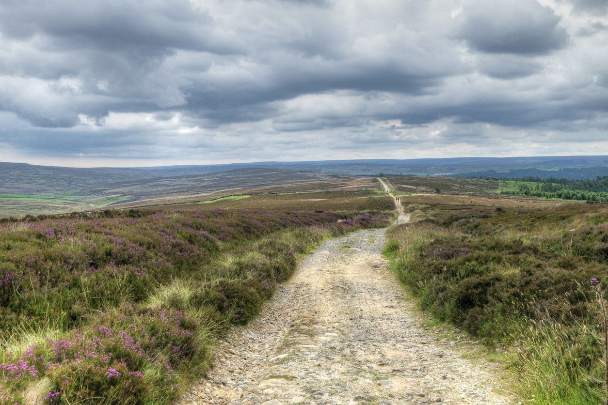 North York Moors National Park 