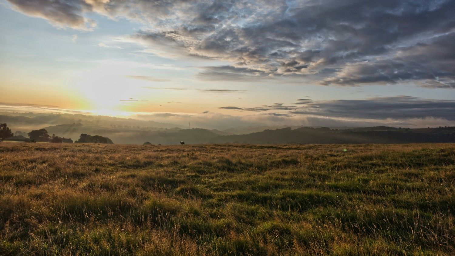 North York Moors National Park 