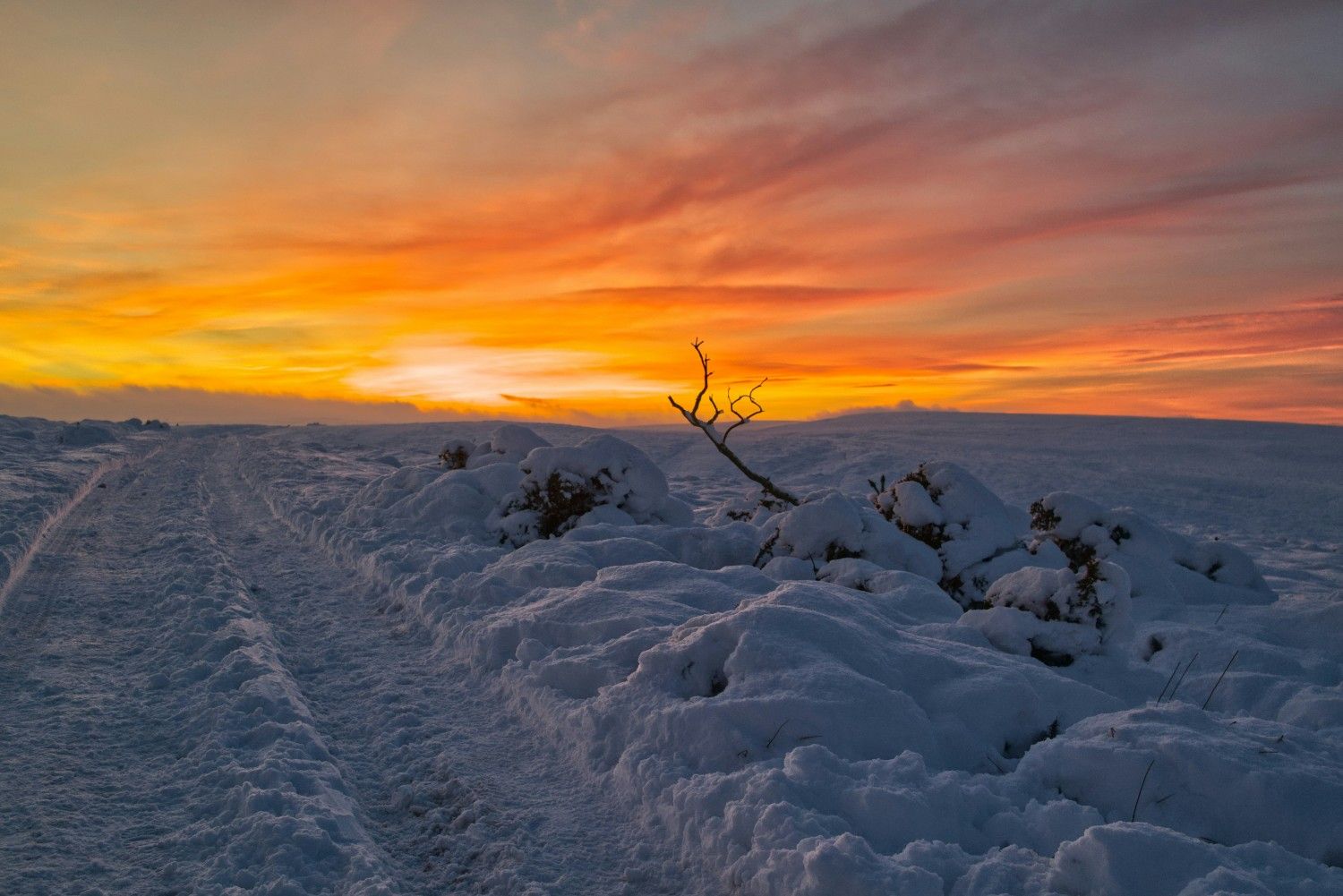 North York Moors National Park 