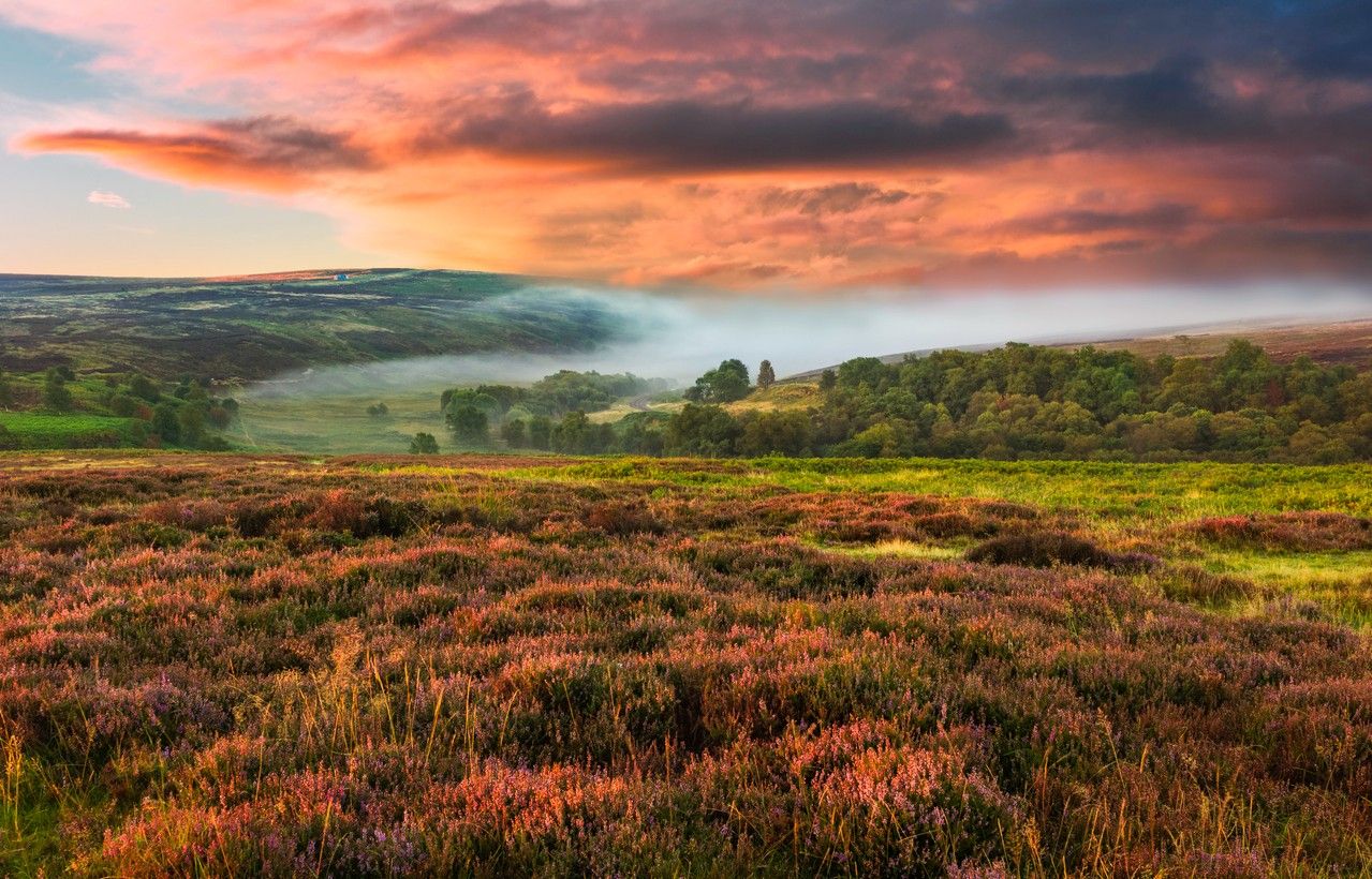 North York Moors National Park 