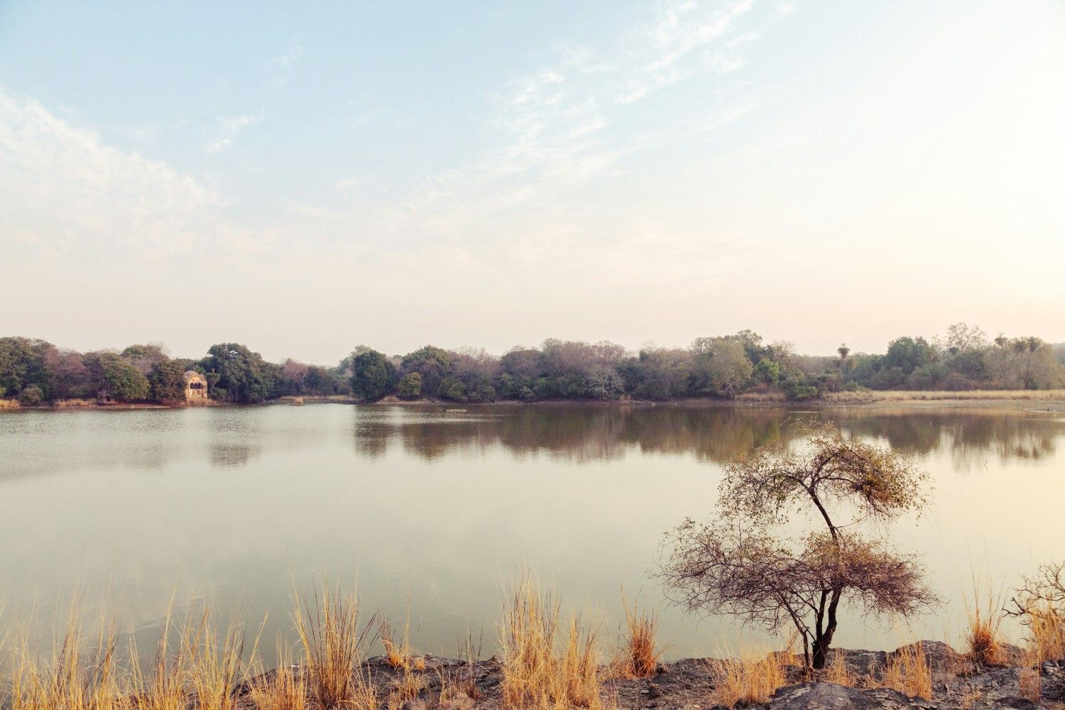 Ranthambore National Park