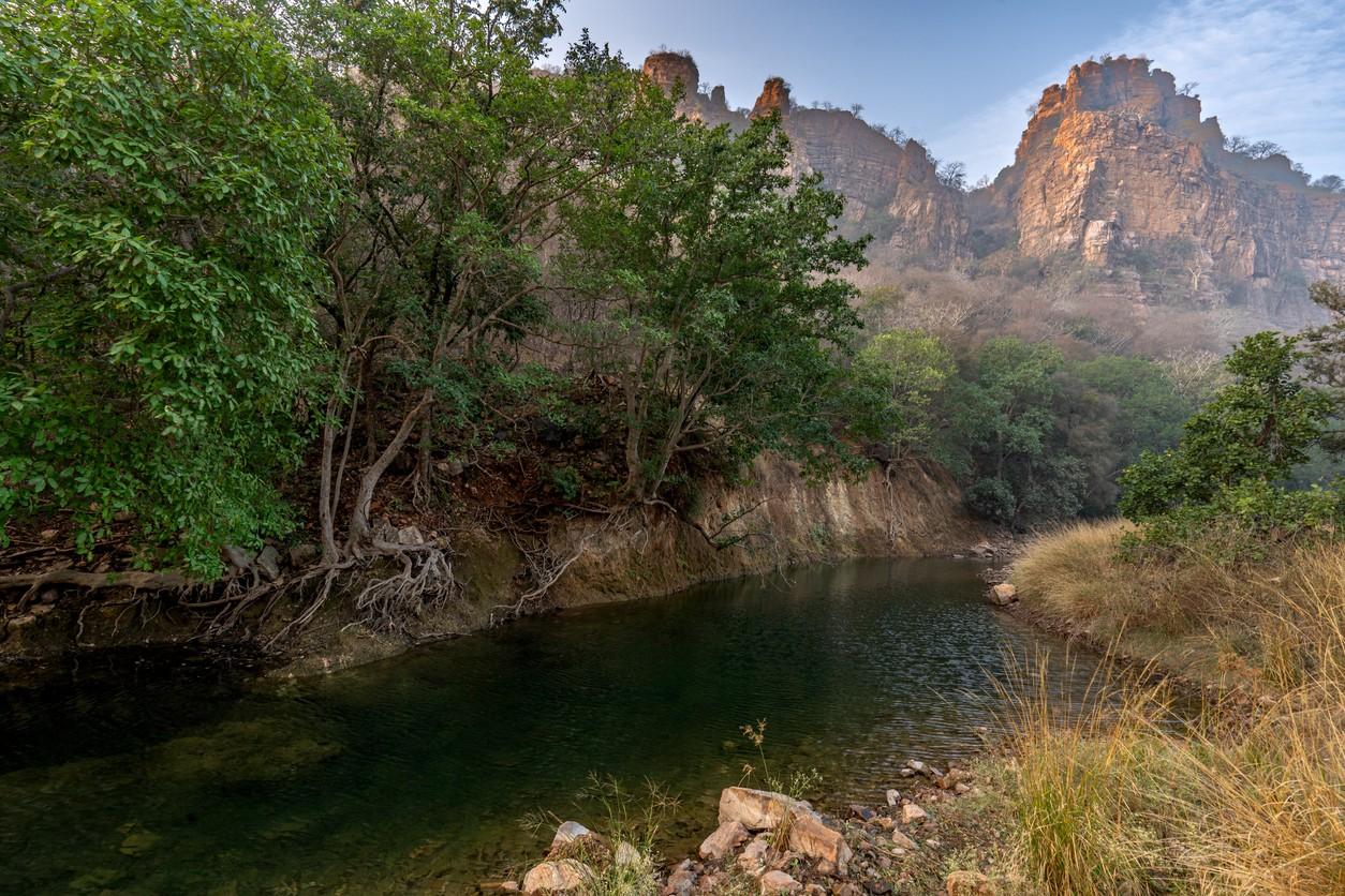 Ranthambore National Park