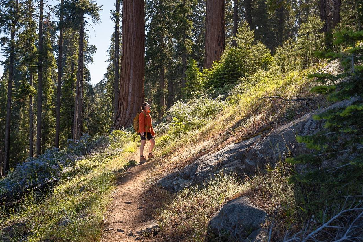 Sequoia National Park