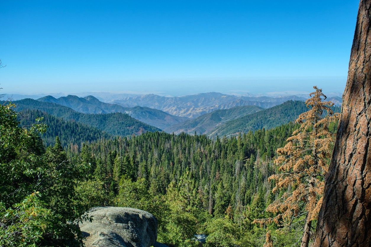 Sequoia National Park