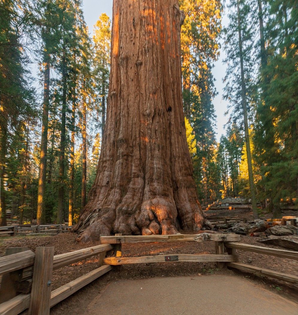 Sequoia National Park