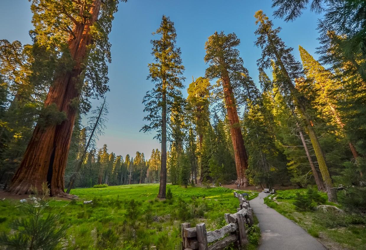 Sequoia National Park