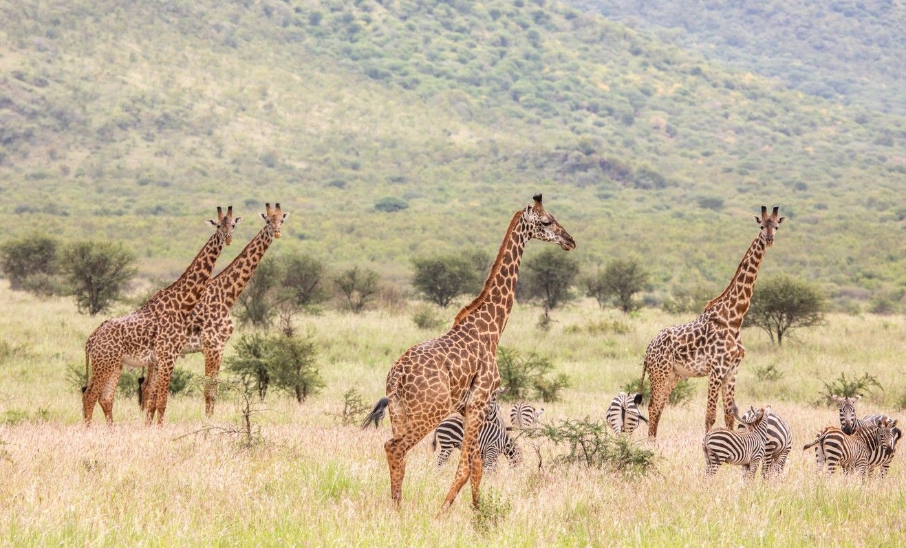 Serengeti National Park