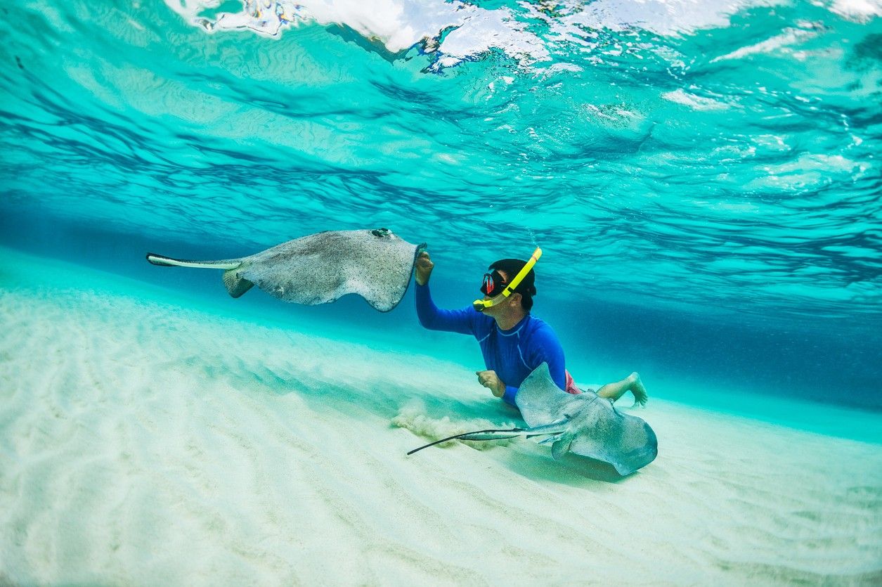 Couple snorkelling