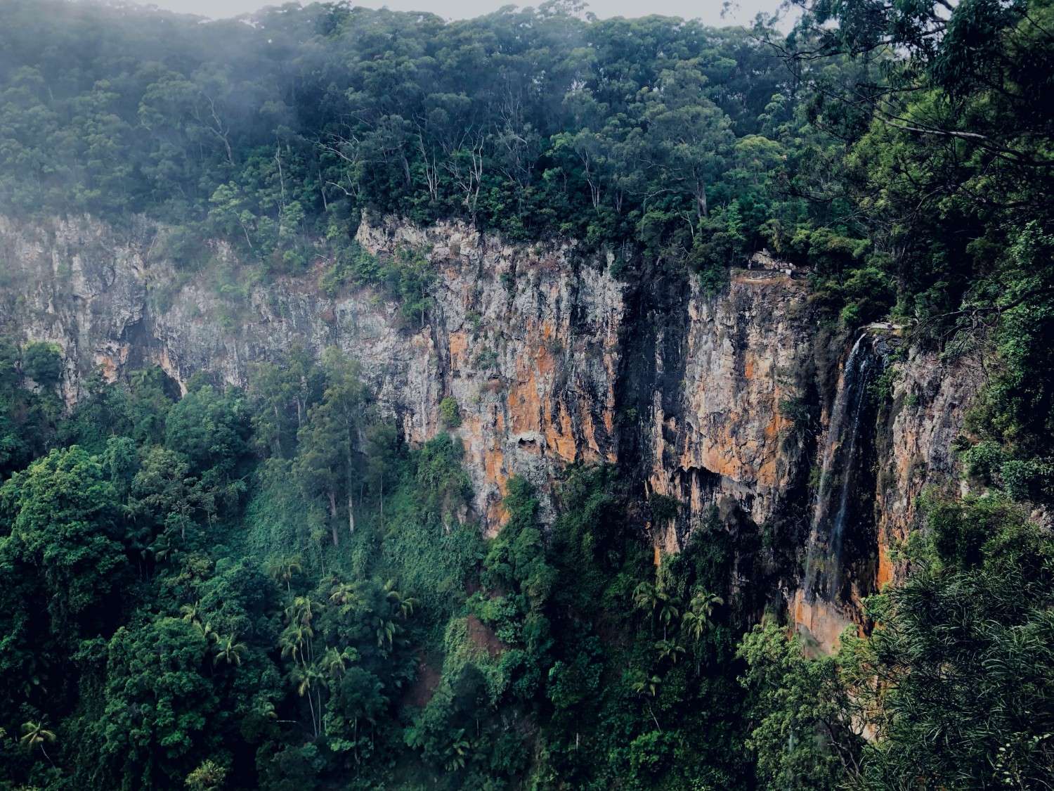 Springbrook National Park