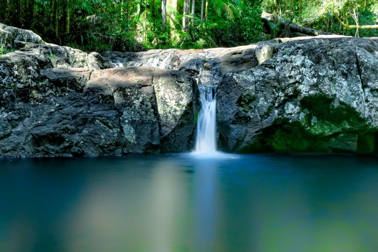 Springbrook National Park