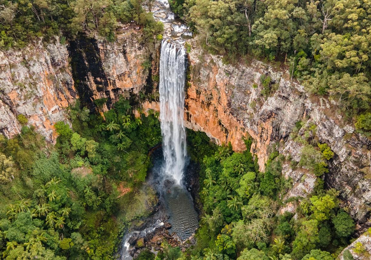 Springbrook National Park