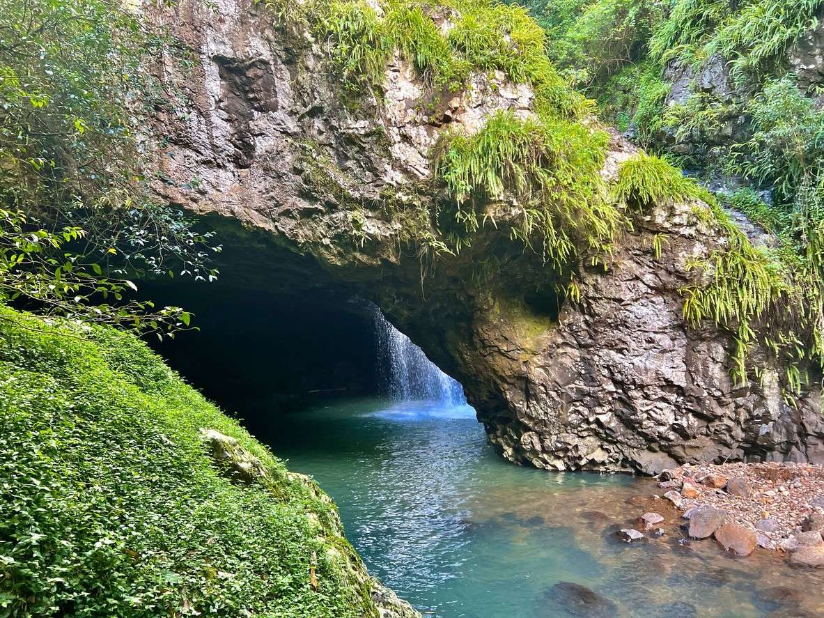 Springbrook National Park