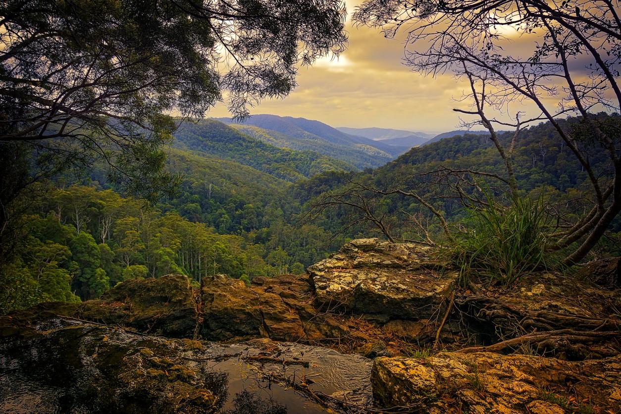 Springbrook National Park