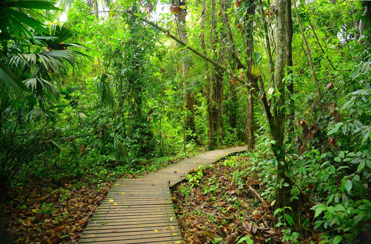 Tayrona National Park