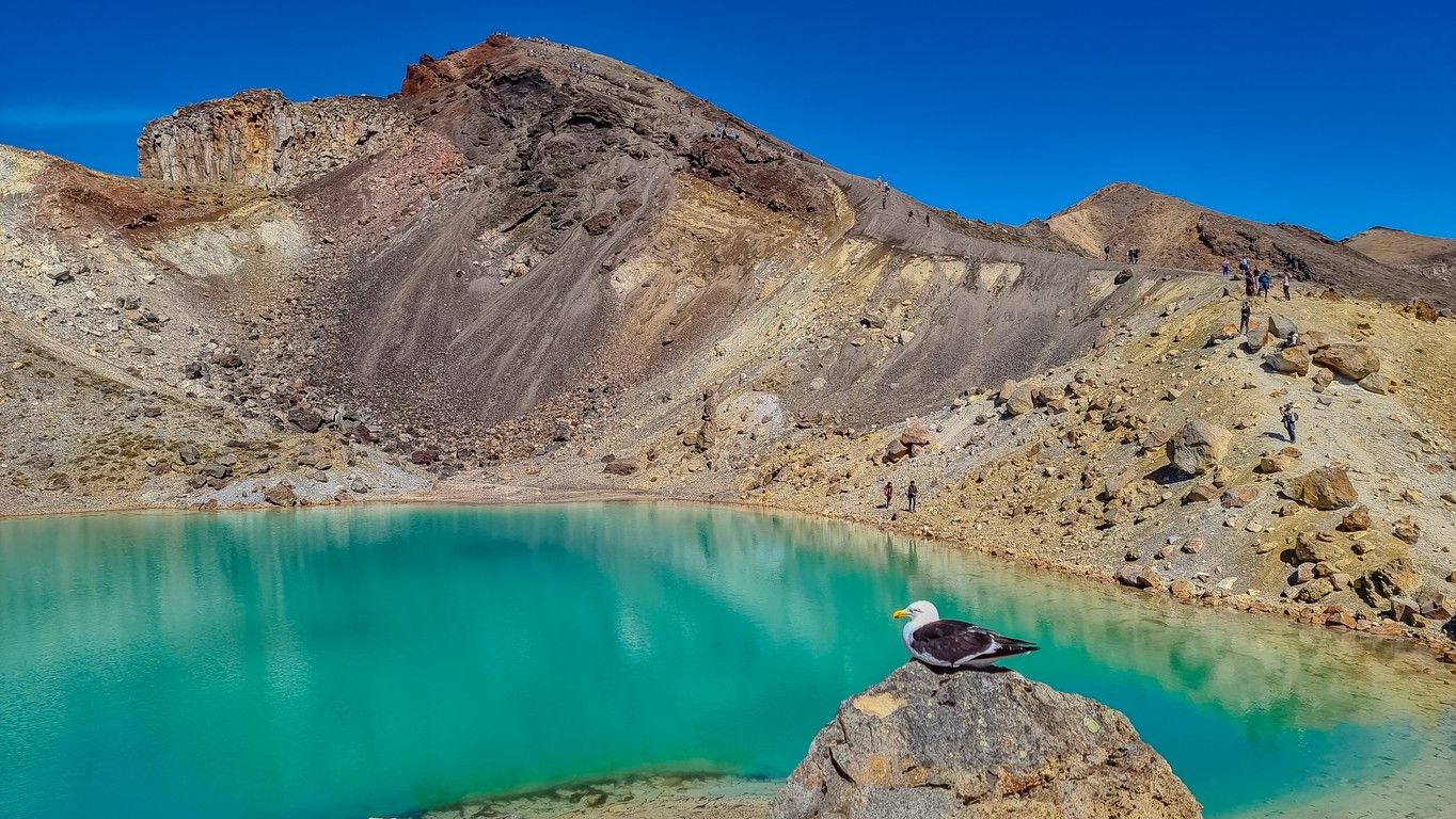 Tongariro National Park