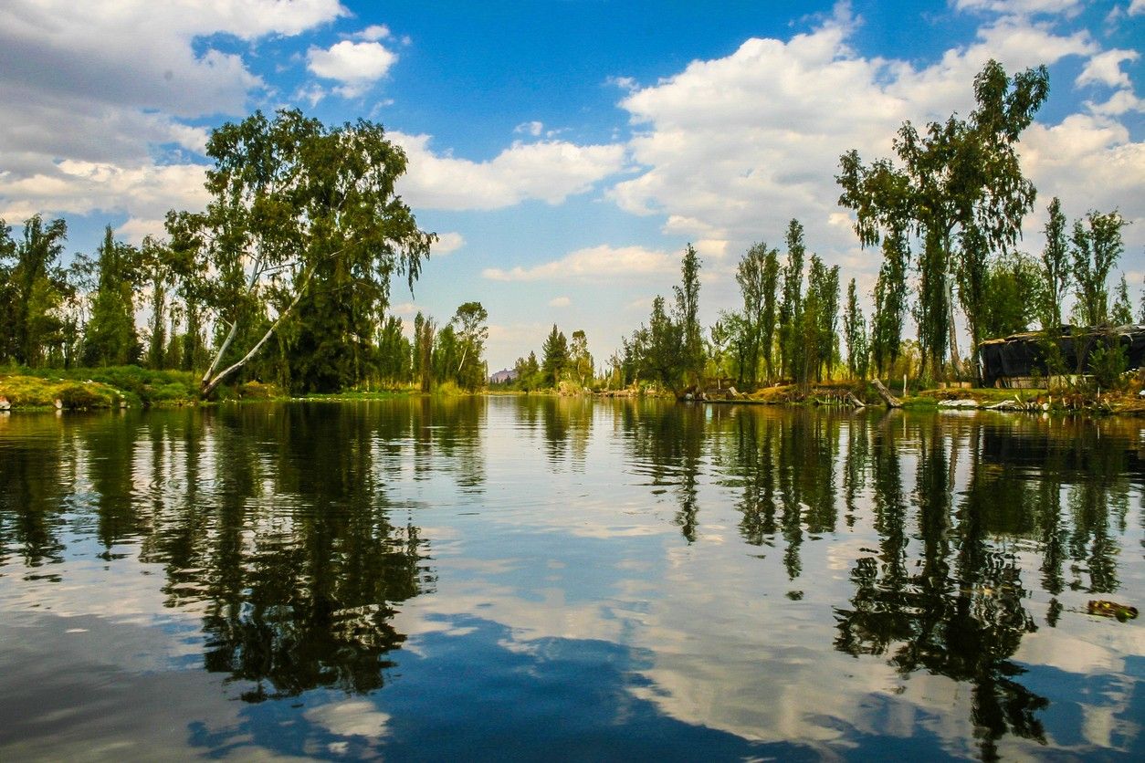 Lake Xochimilco 