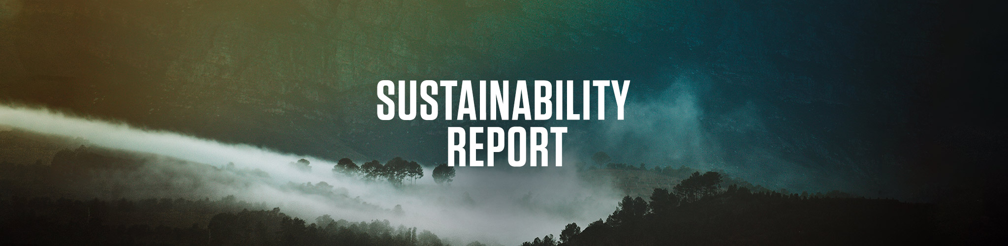 Sustainability Report message on the nature background