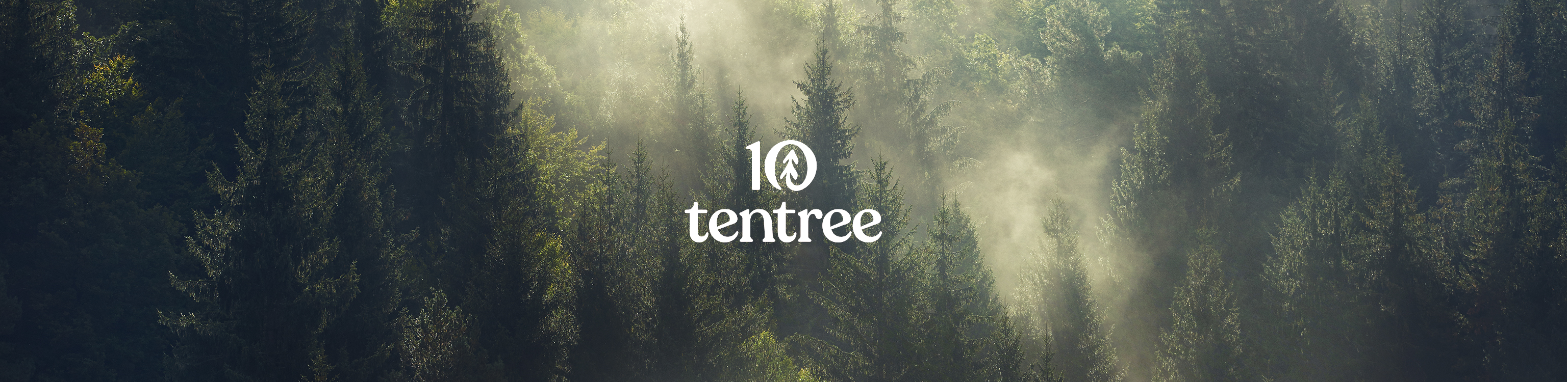 Tops of green trees with the Tentree brand logo in the middle