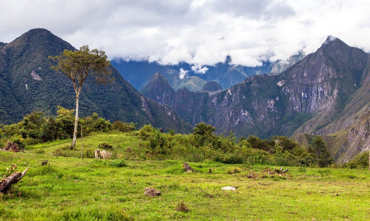 The Salkantay Trek, Peru 